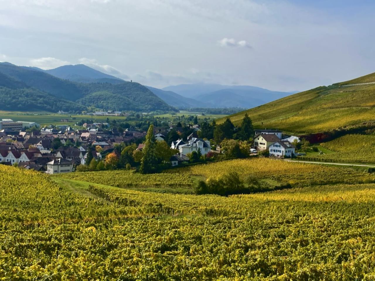 Turckheim: die Stadt, in der der Drache schlummert, Besichtigung zu Fuß