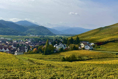 Turckheim: the town where the dragon sleeps, walking tour