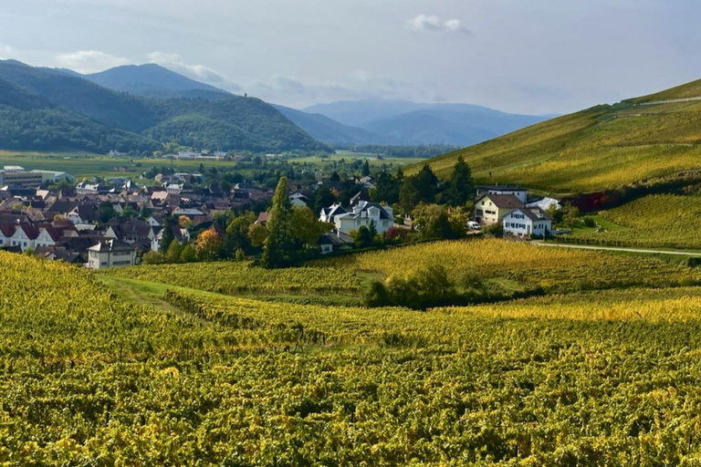 Turckheim: the town where the dragon sleeps, walking tour