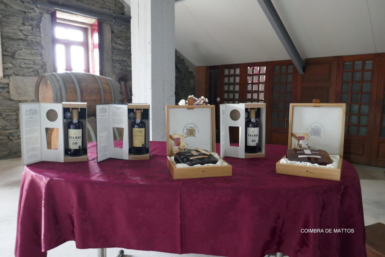 Régua: Prova de vinhos em Quinta, Almoço Tradicional, Cruzeiro e Comboio