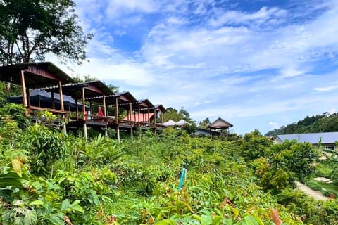 Phuket: Organic Farm Tour & Local Taste
