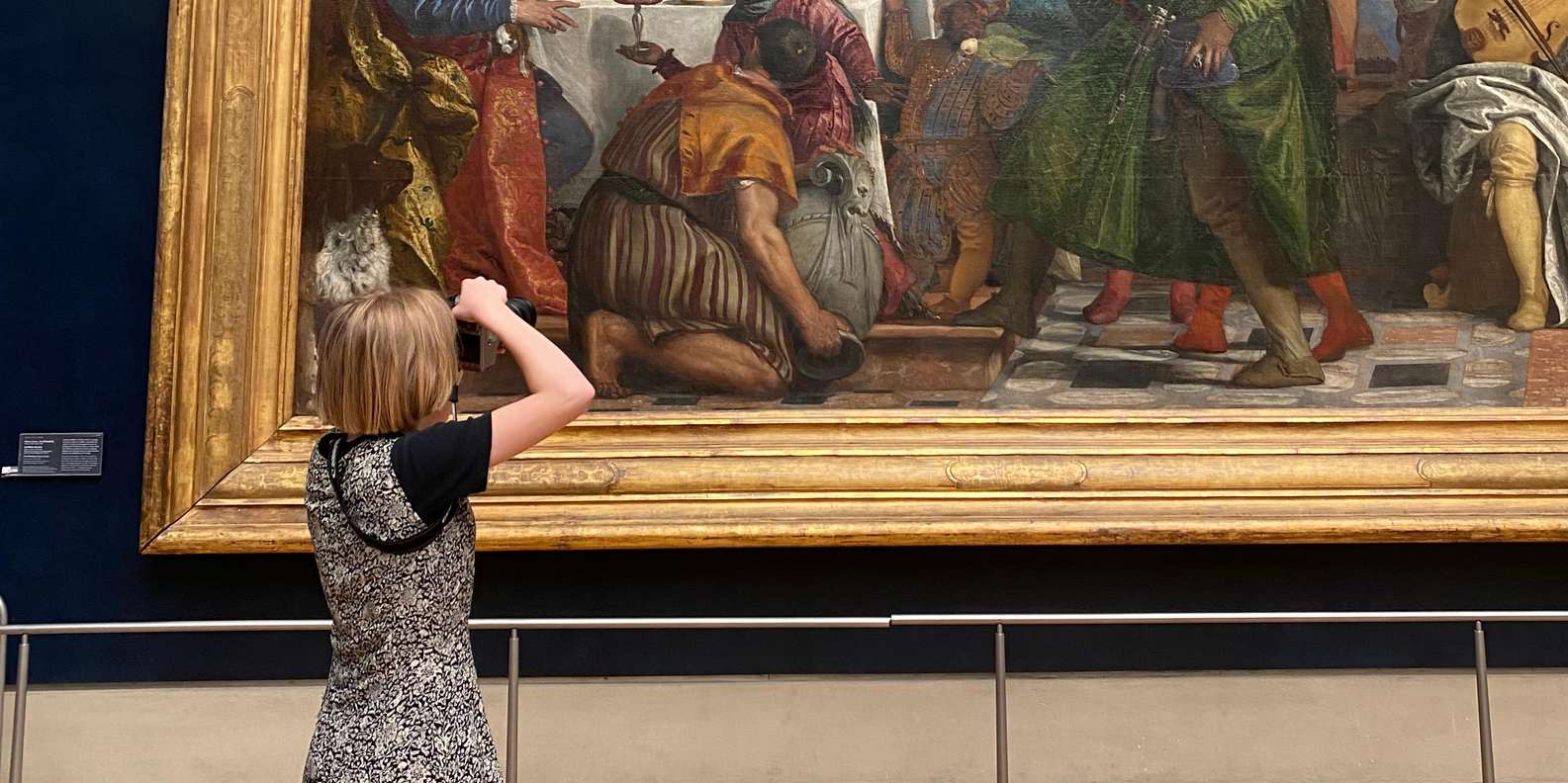 Louvre Museum Paris — tour experience image 16