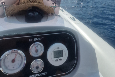 Orientation Genoa + Portofino.