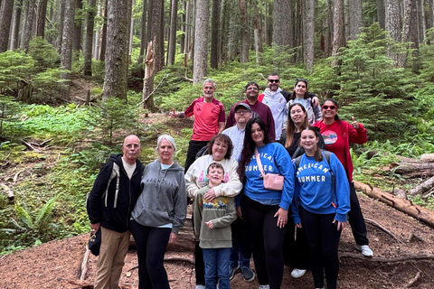 Mount Rainier National Park Small-Group DayTour from Seattle