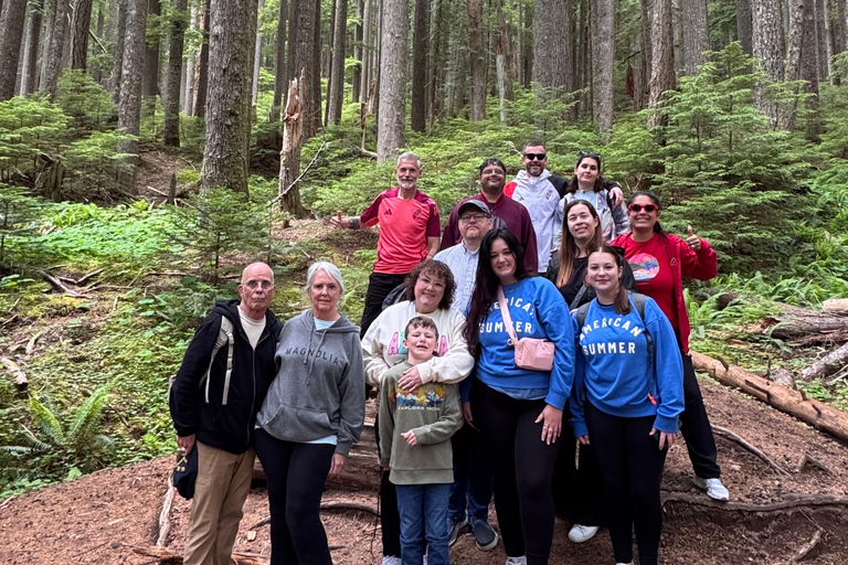 Mount Rainier National Park Small-Group DayTour from Seattle