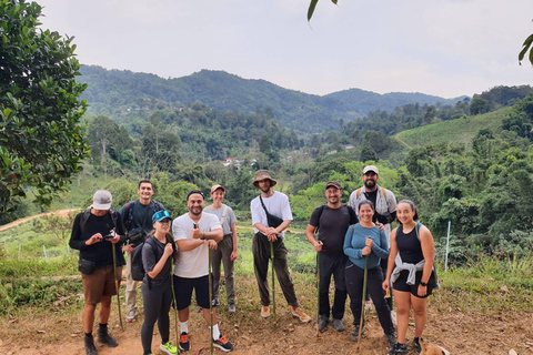 Chiang Rai: 2-Day Jungle Trek only walk with Waterfall