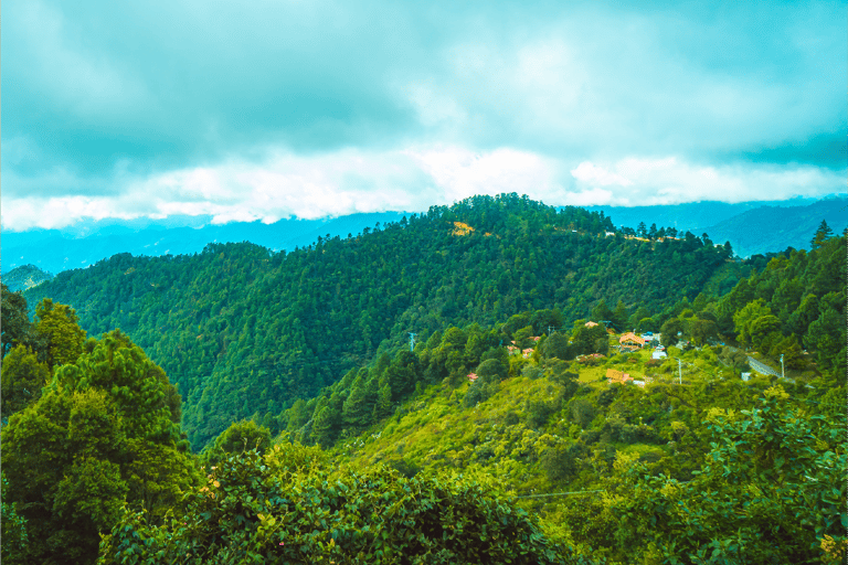 From Oaxaca One way shared transfer to San Jose del Pacifico