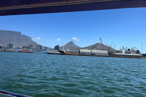 Kapstadt: HafenrundfahrtV&A Waterfront Hafenrundfahrt