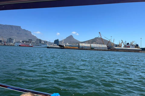 Kapstaden: hamnkryssningKryssning i hamnen vid V&amp;A Waterfront