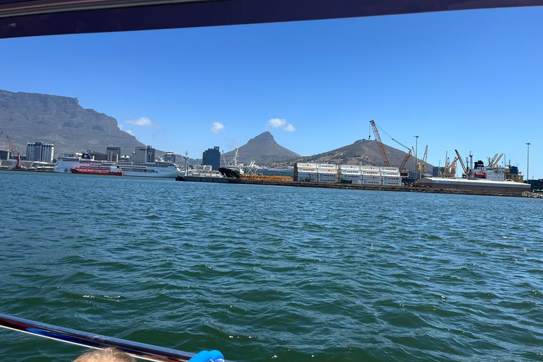 Kapstaden: hamnkryssningKryssning i hamnen vid V&amp;A Waterfront