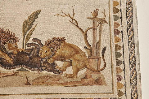 From Hammamet/Sousse: Amphitheatre Visit (All inclusive) From Sousse/Monastir: Amphitheatre Visit (All inclusive)