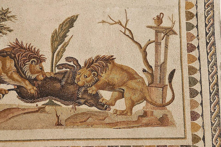 From Hammamet/Sousse: Amphitheatre Visit (All inclusive) From Sousse/Monastir: Amphitheatre Visit (All inclusive)