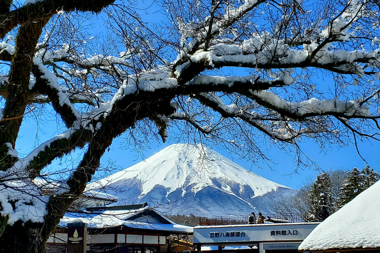 Mount Fuji & Hakone Full-Day Private Tour (Customizable) Hakone & Mount Fuji Tour w/English speaking guide
