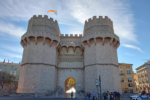 Visite guidée de la vieille ville de Valence