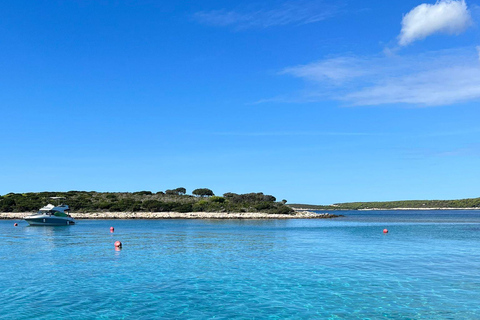 Spalato: Tour delle 5 isole della Grotta Azzurra con Hvar e Vis Tour di un giorno