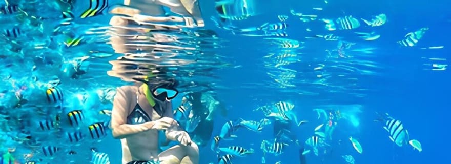 Gili Trawangan : Snorkeling privé 4 Spots Turtle avec Gopro