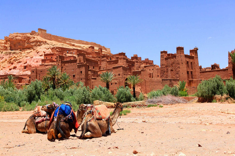 Day Trip to Ait Benhaddou and Ouarzazate