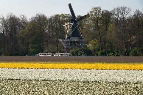 The Hague: Tour to Keukenhof Gardens plus Entry Ticket