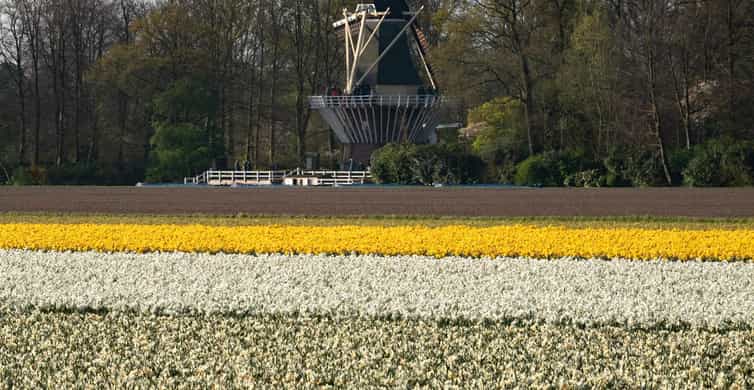 Amsterdam: Day Tour Keukenhof and Zaanse Schans Windmills photo 19