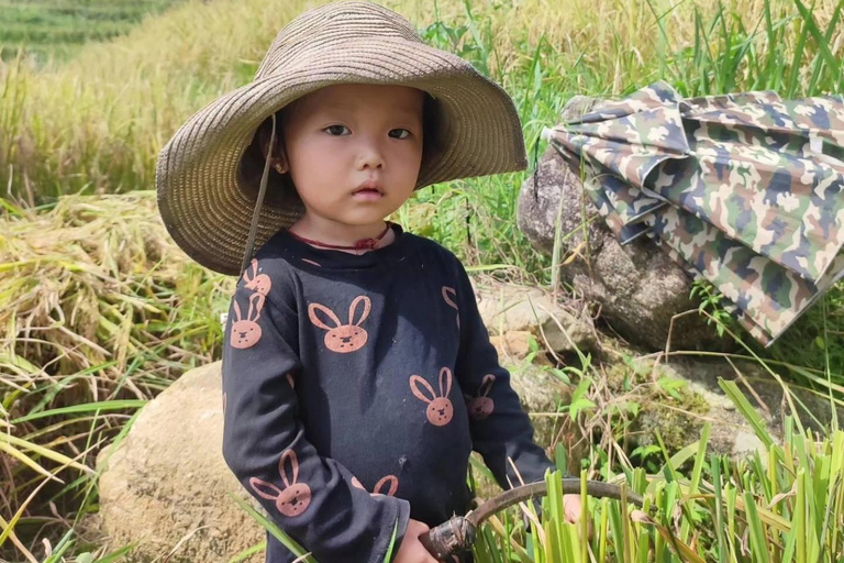 Hanói: 3 dias de trekking em Sapa Cat Cat, Lao Chai, pontes de vidro