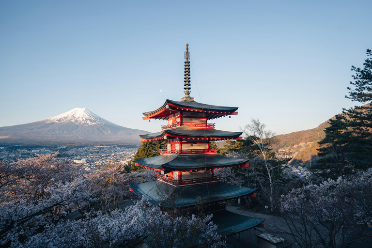 Från Tokyo: Fuji-berget eller Hakone Sightseeing Privat dagstur
