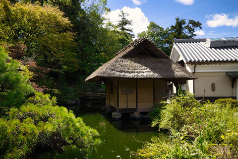 Kyoto: Cerimonia del tè in una casa da tè tradizionale