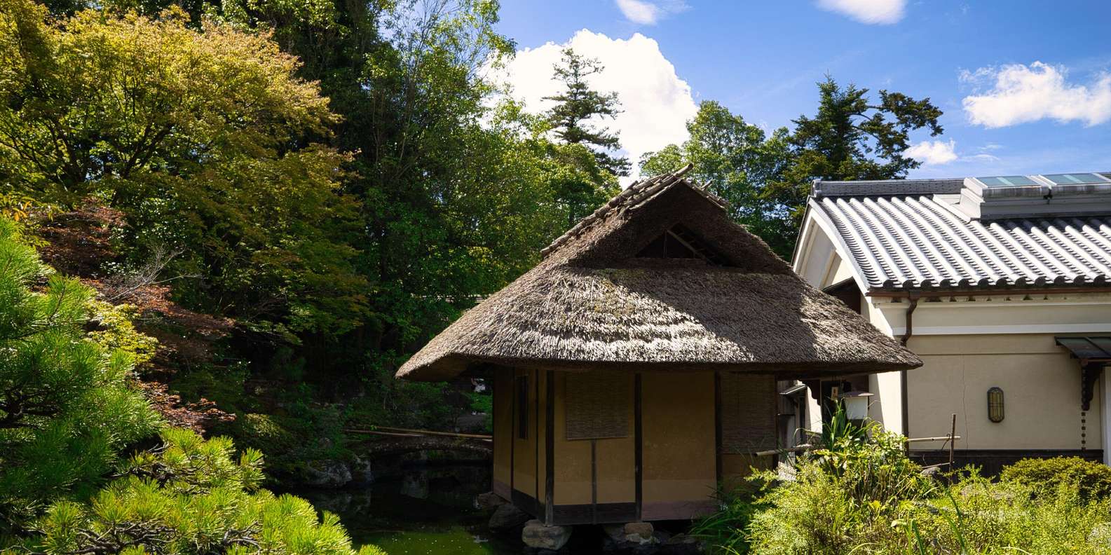 Kyoto experience — temples, geisha, bamboo grove — image 11