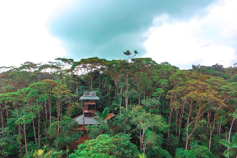 Quito: 3-Day Amazon Jungle Tour with Lodging & Meals