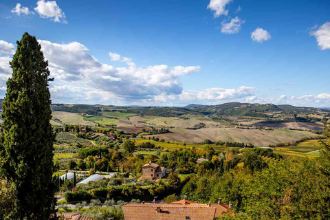 Full-Day Tuscany Tour: Pisa, San Gimignano & Siena Highlight Guide in English