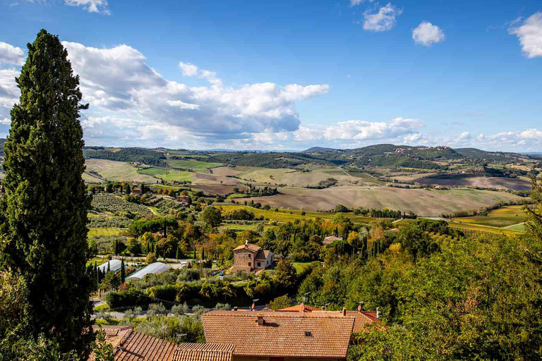 Full-Day Tuscany Tour: Pisa, San Gimignano & Siena Highlight Guide in English