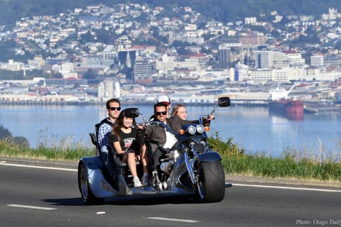 Dunedin: Peninsula and City V8 Trike Coastal Tour - Image 2
