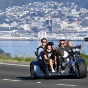 Dunedin: Peninsula and City V8 Trike Coastal Tour Dunedin: Peninsula and City V8 Trike Coastal Tour