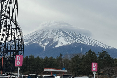 Depuis Tokyo : Excursion privée d&#039;une journée au Mont Fuji et à Hakone