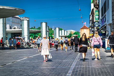 Copenhagen City &amp; Rosenborg Castle Private Walking TourTour in German