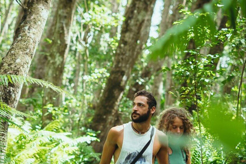 Zanzibar: Wycieczka z przewodnikiem po rezerwacie leśnym Masingini