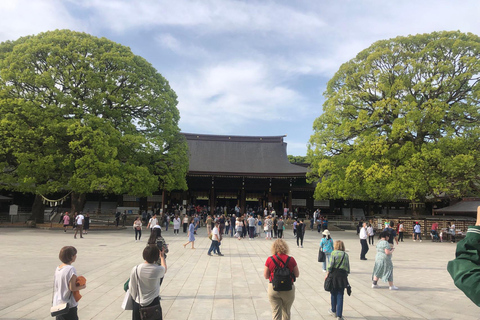 Explore Tokyo Your Way: 5h Private Customizable Walking tour