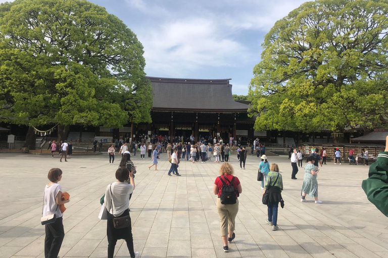 Explore Tokyo Your Way: 5h Private Customizable Walking tour