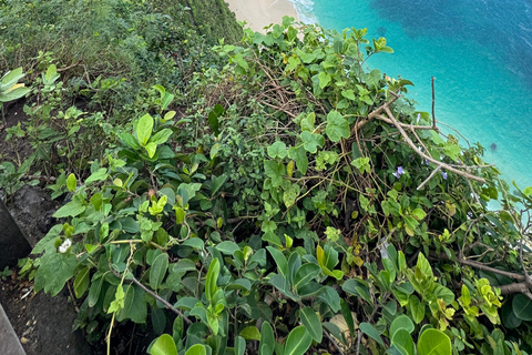 Nusa Penida: West & East Tour with Water Sports Nusa Penida Private West Tour With All Inclusive