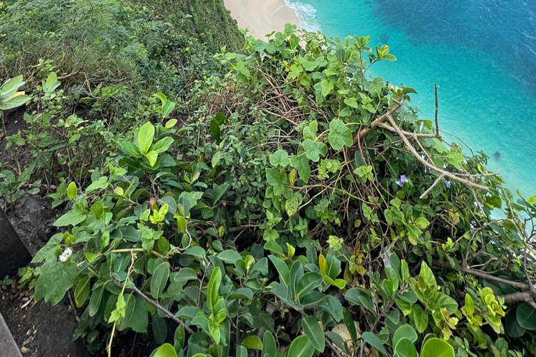 Nusa Penida: West & East Tour with Water Sports Nusa Penida Private West Tour With All Inclusive