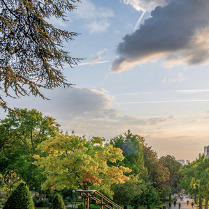 Paris: Zugang zum Eiffelturm im 2. Stock oder zum Gipfel