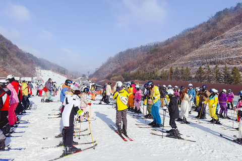 Excursão de 1 dia para esquiar no Elysian (pacote completo para esqui e snowboard)SKI_Partir da estação de Myeongdong, saída 3