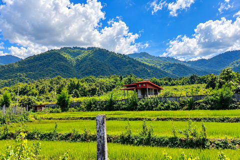 Na Duang Village Full-Day Cultural and Natural Experience