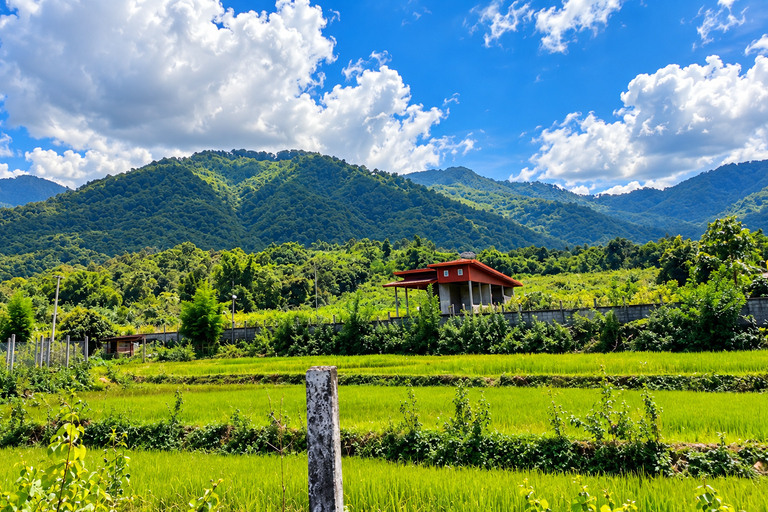 Na Duang Village Full-Day Cultural and Natural Experience