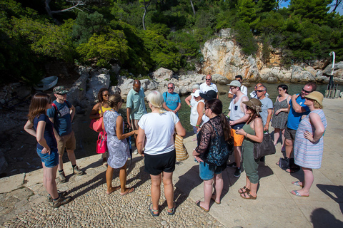 Dubrovnik: Excursão a pé por Game of Thrones e Ilha de LokrumDubrovnik: Jogo dos Tronos e excursão a pé pela ilha de Lokrum