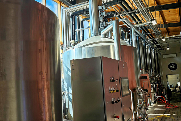 From Sofia: Plovdiv Brewery Day Trip - History, Hills & Hops