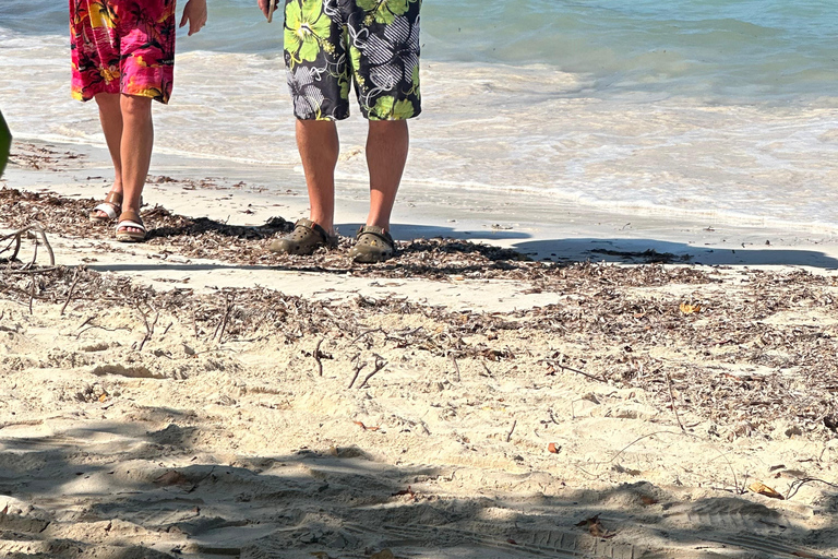 Doctor cave beach one of the best beaches in Montego Bay