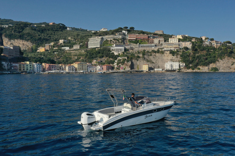 From Sorrento: Private Capri Tour Next 22 Up to 5 people