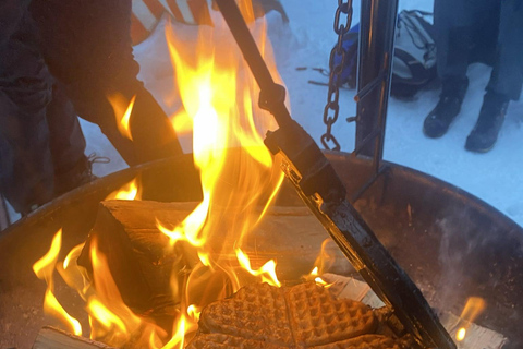 Oslo: Evening Torchlight Walk & Norwegian Campfire Waffle