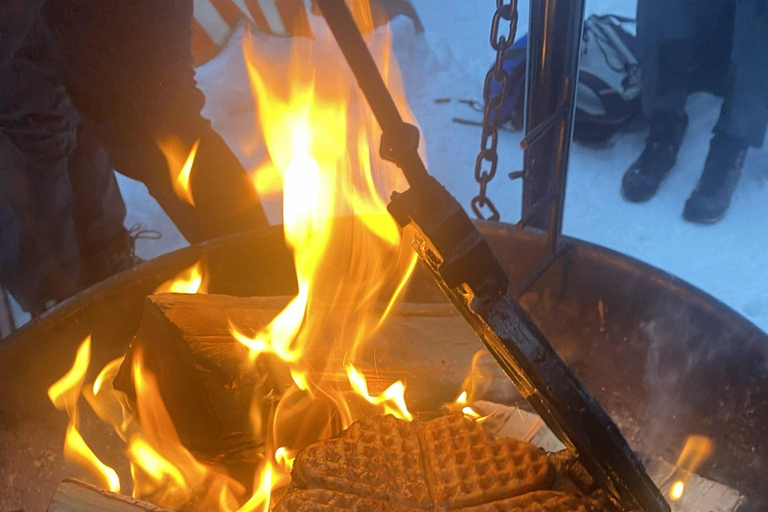 Oslo: Evening Torchlight Walk & Norwegian Campfire Waffle