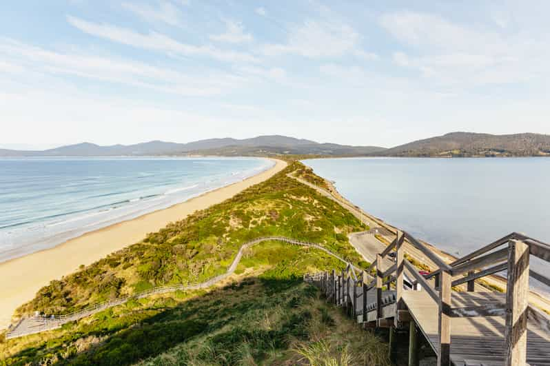 Hobart: Bruny Island Gourmet Sightseeing Day Tour | GetYourGuide